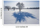 Field With Frost Covered Trees Wall Mural