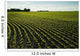 Early Growth Soybean Field Near Lorette, Manitoba, Canada Wall Mural