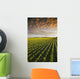 Early Growth Soybean Field Near Lorette, Manitoba, Canada Wall Mural