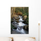 Great Smoky Mountains National Wall Mural