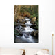 Great Smoky Mountains National Wall Mural