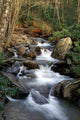 Great Smoky Mountains National Wall Mural