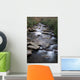 Great Smoky Mountains National Wall Mural