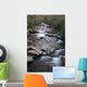 Great Smoky Mountains National Wall Mural