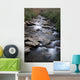 Great Smoky Mountains National Wall Mural