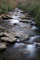 Great Smoky Mountains National Wall Mural