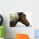 Close-Up Of Brown Pinto Pony With White And Black Mane Wall Mural