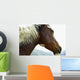 Close-Up Of Brown Pinto Pony With White And Black Mane Wall Mural
