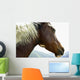 Close-Up Of Brown Pinto Pony With White And Black Mane Wall Mural