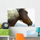 Close-Up Of Brown Pinto Pony With White And Black Mane Wall Mural