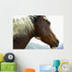 Close-Up Of Brown Pinto Pony With White And Black Mane Wall Mural