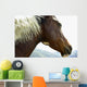Close-Up Of Brown Pinto Pony With White And Black Mane Wall Mural
