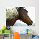 Close-Up Of Brown Pinto Pony With White And Black Mane Wall Mural