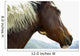 Close-Up Of Brown Pinto Pony With White And Black Mane Wall Mural