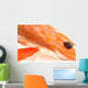 Head Shrimp Wall Mural