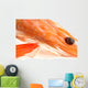 Head Shrimp Wall Mural