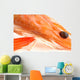 Head Shrimp Wall Mural