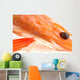 Head Shrimp Wall Mural