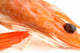 Head Shrimp Wall Mural