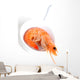 Appetizers Wall Decal