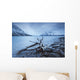 Log Along The Shores Of Kathleen Lake, Kluane National Park, Yukon Wall Mural