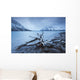 Log Along The Shores Of Kathleen Lake, Kluane National Park, Yukon Wall Mural
