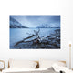 Log Along The Shores Of Kathleen Lake, Kluane National Park, Yukon Wall Mural