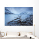 Log Along The Shores Of Kathleen Lake, Kluane National Park, Yukon Wall Mural