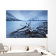 Log Along The Shores Of Kathleen Lake, Kluane National Park, Yukon Wall Mural