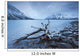 Log Along The Shores Of Kathleen Lake, Kluane National Park, Yukon Wall Mural