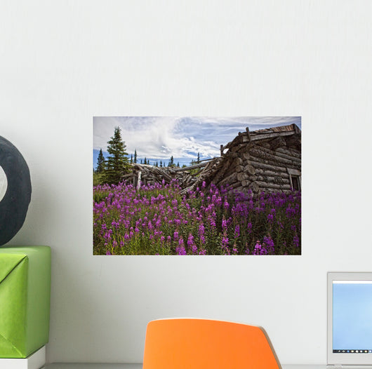 Old Trappers Cabin Surrounded By Fireweed At Silver City, Yukon Wall Mural
