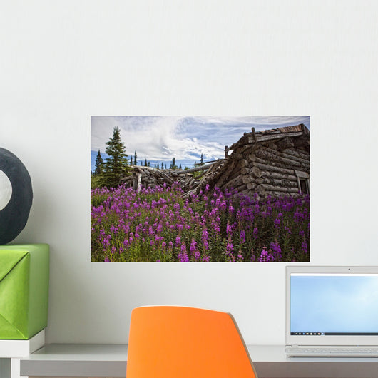 Old Trappers Cabin Surrounded By Fireweed At Silver City, Yukon Wall Mural