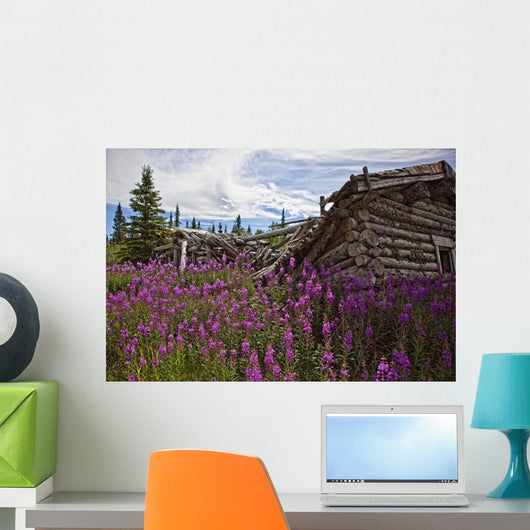 Old Trappers Cabin Surrounded By Fireweed At Silver City, Yukon Wall Mural