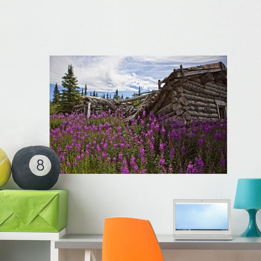 Old Trappers Cabin Surrounded By Fireweed At Silver City, Yukon Wall Mural