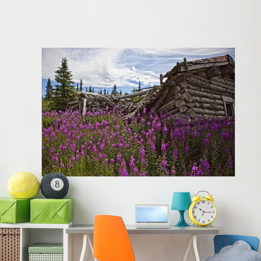 Old Trappers Cabin Surrounded By Fireweed At Silver City, Yukon Wall Mural