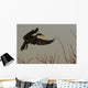 Double Crested Cormorant Coming In For Landing Wall Mural