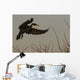 Double Crested Cormorant Coming In For Landing Wall Mural