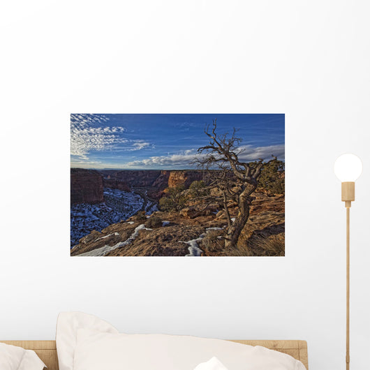 Image Of Tree With Vibrant Blue Sky On The Rim On Canyon De Chelley Wall Mural