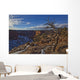 Image Of Tree With Vibrant Blue Sky On The Rim On Canyon De Chelley Wall Mural