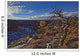 Image Of Tree With Vibrant Blue Sky On The Rim On Canyon De Chelley Wall Mural