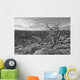 Black And White Image Of Tree On The Rim On Canyon De Chelley, Arizona Wall Mural