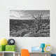 Black And White Image Of Tree On The Rim On Canyon De Chelley, Arizona Wall Mural