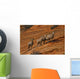 Bighorn Sheep, Zion National Park, Utah Wall Mural