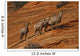 Bighorn Sheep, Zion National Park, Utah Wall Mural