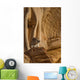 Ground Squirrel At Monument Valley, Arizona Wall Mural