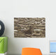 Male Elephant Seal Barking Amidst Females Wall Mural