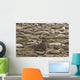 Male Elephant Seal Barking Amidst Females Wall Mural
