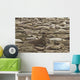 Male Elephant Seal Barking Amidst Females Wall Mural