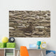 Male Elephant Seal Barking Amidst Females Wall Mural