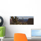Raven Sitting On Tree On The South Rim Of The Grand Canyon, Arizona Wall Mural